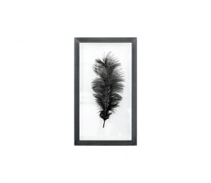 HKliving ostrich feather veer zwart