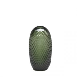 facet_vaas_groen_fest amsterdam