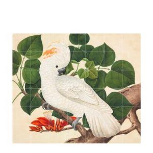 ixxi-wanddecoratie-cockatoo-140x120-cm-groen-8718858603725