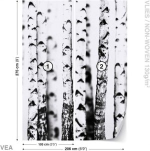 fotobehang trees xxl