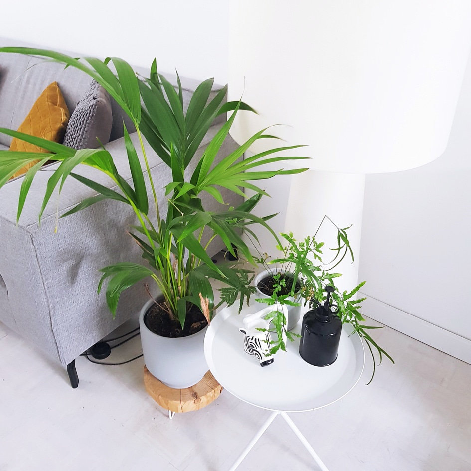 Woonkamer met witte vloer en witte vloerlamp en wit bijzettafeltje in het interieur van Iris