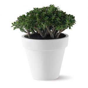 elho-pure-round-bloempot-80-cm