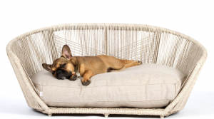 the pet empire laboni design hondenbed