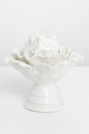 Sissy-Boy Witte kandelaar bloem