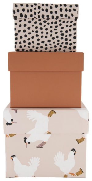 HEMA Kartonnen Opbergdozen Kip - 3 Stuks