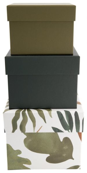 HEMA Opbergdoos Karton Bladeren - 3 Stuks