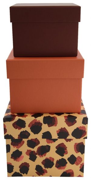 HEMA Opbergdoos Karton Dierendessin - 3 Stuks