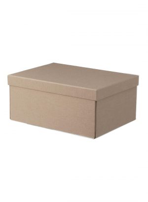 HEMA Opbergdoos Karton A4 Kraft (kraft)
