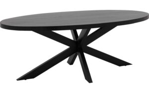 Goossens Eettafel Axilon, Ovaal 210 x 100 cm