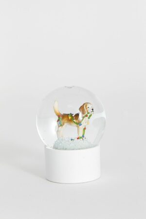 Sissy-Boy Sneeuwbol hond S