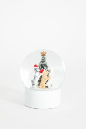 Sissy-Boy Sneeuwbol honden rond de kerstboom